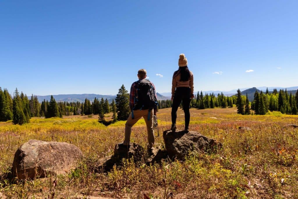 Two hikers stand on rocks in a grassy meadow with pine trees and distant mountains under a clear blue sky.